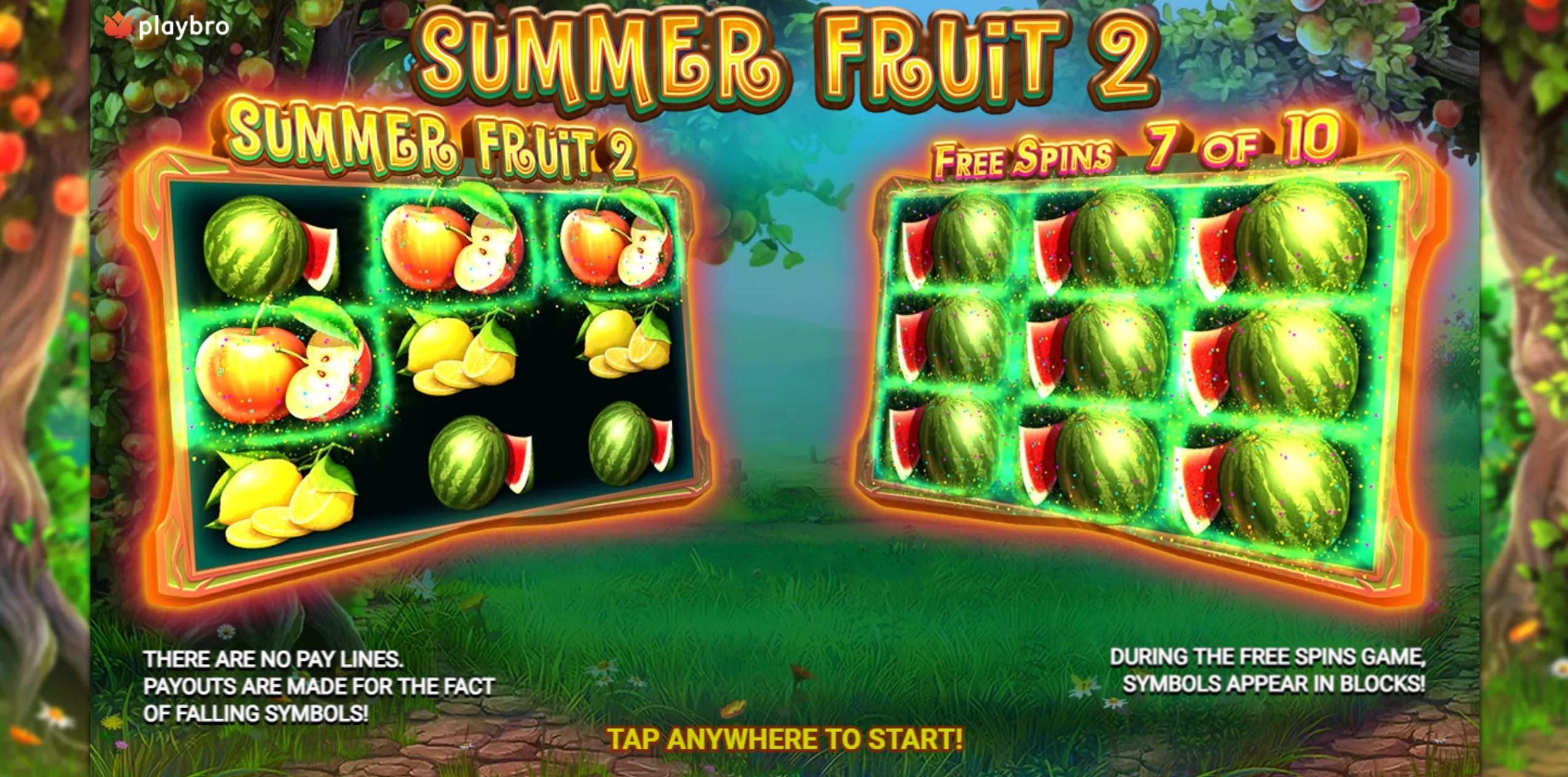 Demo for Summer Fruit 2